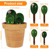 Cactus Ceramic Measuring Spoon Set