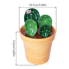 Cactus Ceramic Measuring Spoon Set